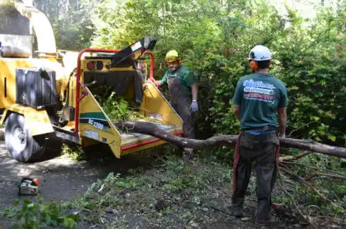 tree services Sky Valley